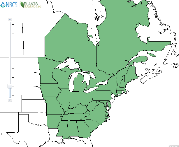 The range of Anemone acutiloba